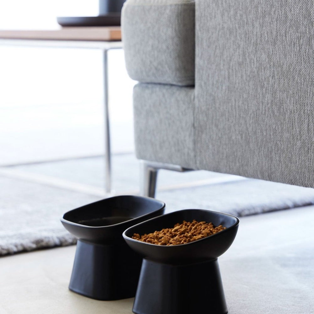 
                      
                        Yamazaki Home Tilted Raised Ceramic Pet Food Bowl - lily & onyx
                      
                    