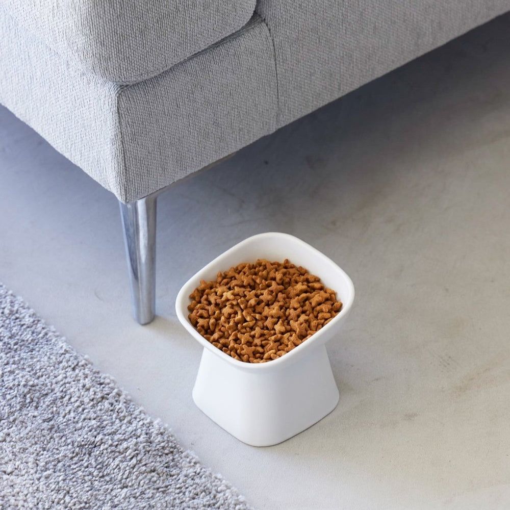 
                      
                        Yamazaki Home Tilted Raised Ceramic Pet Food Bowl - lily & onyx
                      
                    