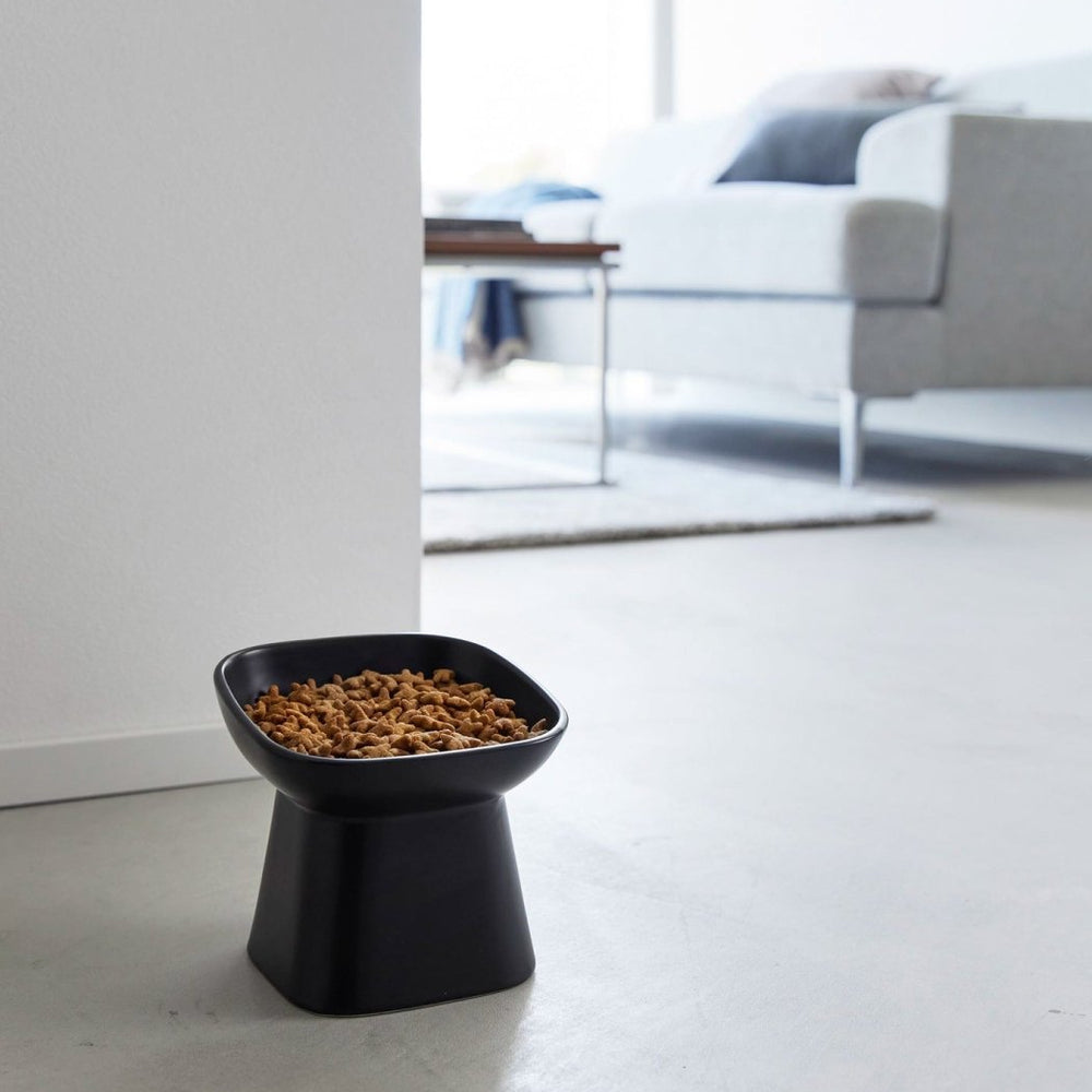 
                      
                        Yamazaki Home Tilted Raised Ceramic Pet Food Bowl - lily & onyx
                      
                    