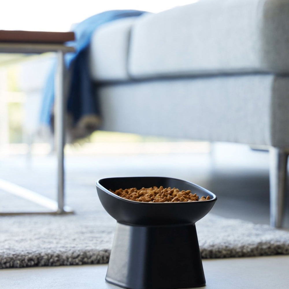 
                      
                        Yamazaki Home Tilted Raised Ceramic Pet Food Bowl - lily & onyx
                      
                    