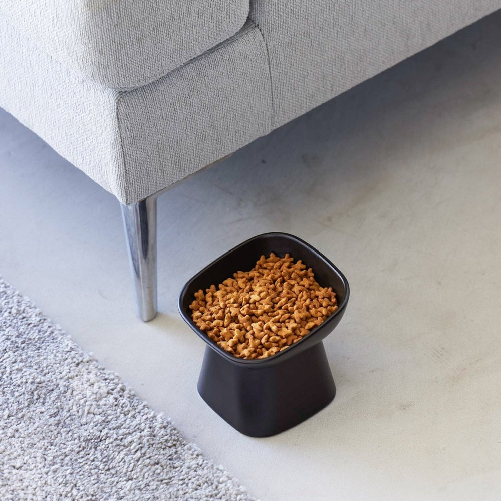 
                      
                        Yamazaki Home Tilted Raised Ceramic Pet Food Bowl - lily & onyx
                      
                    