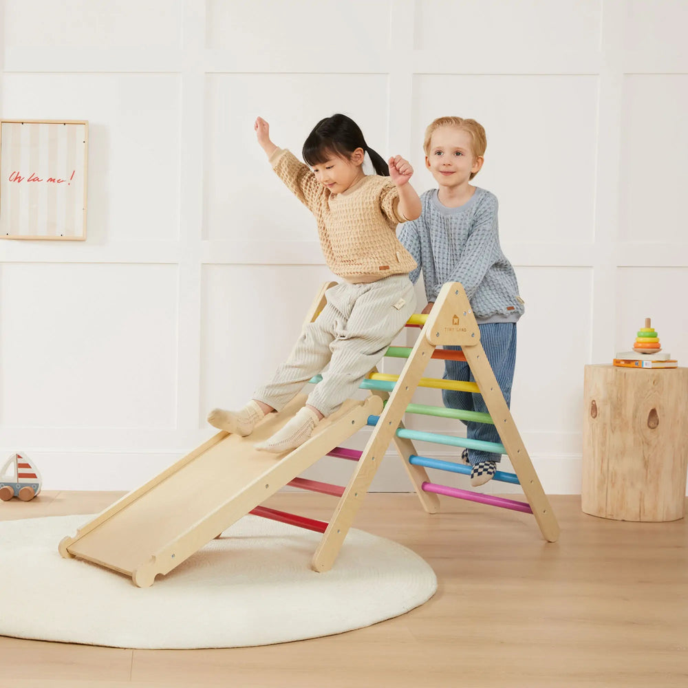 
                      
                        Tiny Land Tiny Land® 5 - in - 1 Rainbow Climbing Set - lily & onyx
                      
                    