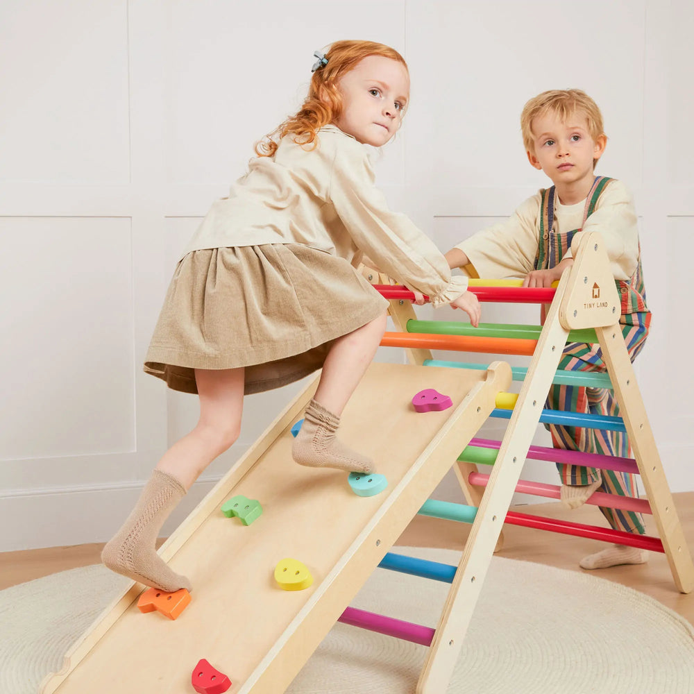
                      
                        Tiny Land Tiny Land® 5 - in - 1 Rainbow Climbing Set - lily & onyx
                      
                    