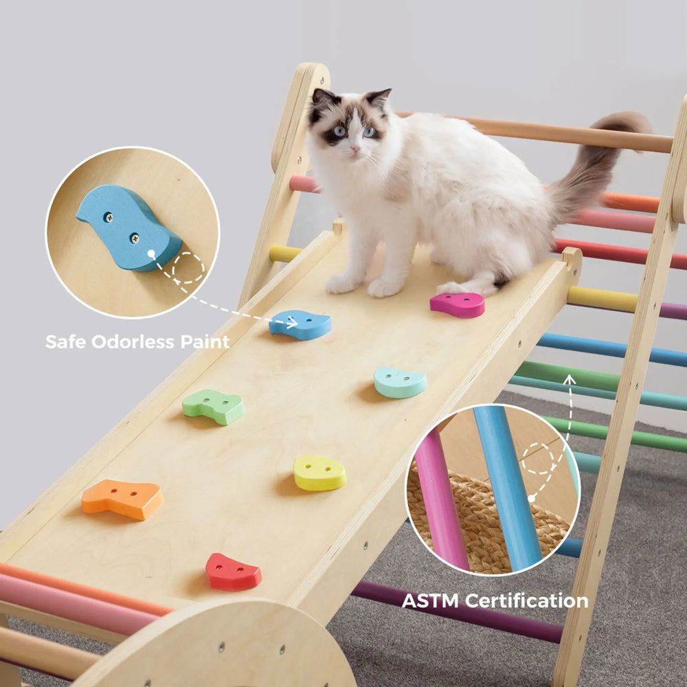 
                      
                        Tiny Land Tiny Land® 5 - in - 1 Rainbow Climbing Set - lily & onyx
                      
                    