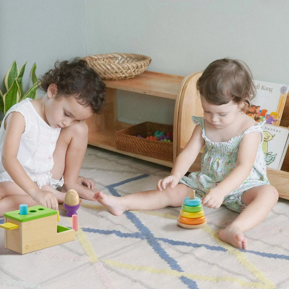 
                      
                        Tiny Land Tiny Land® Montessori Toys Set for Infants (10 - 12 month) - lily & onyx
                      
                    