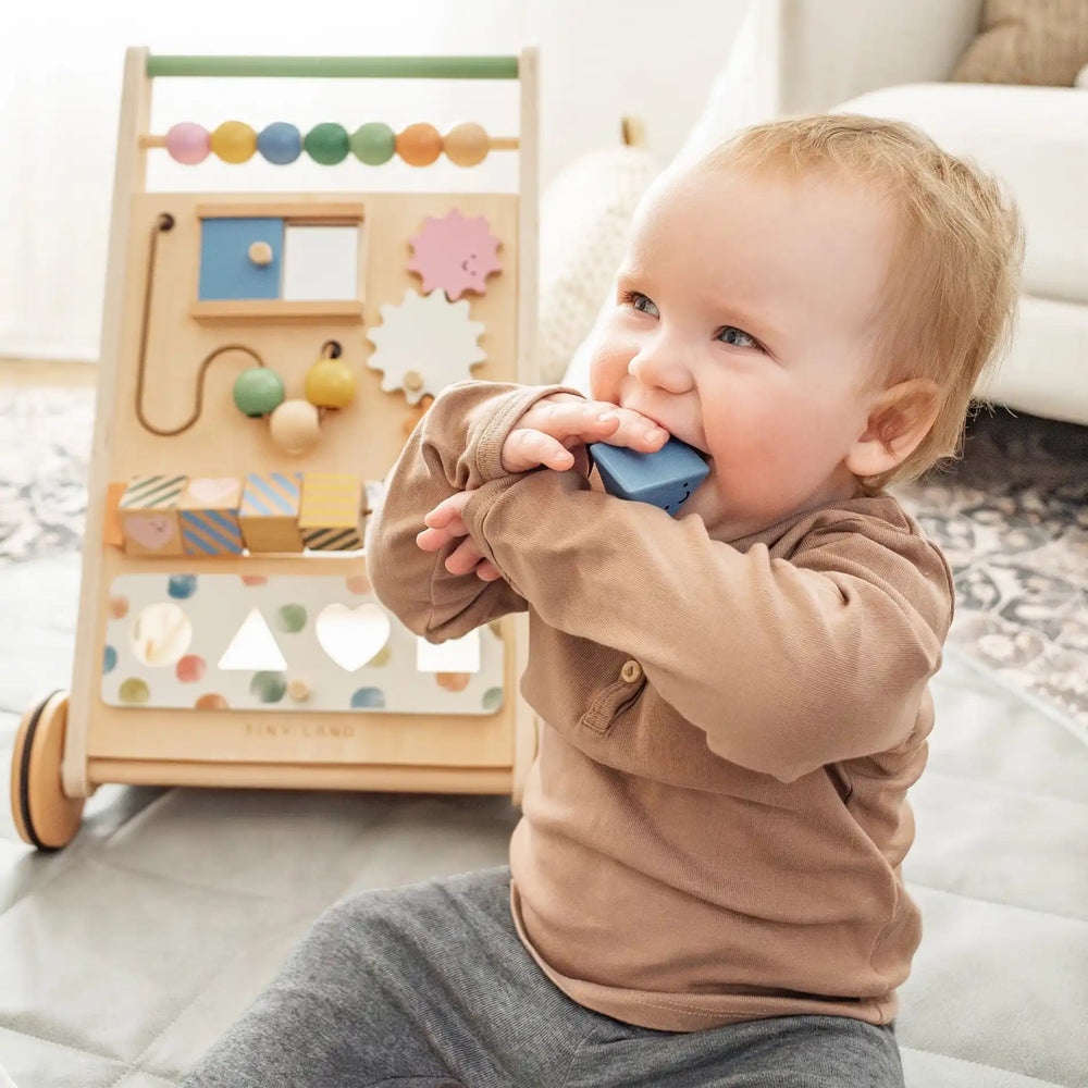 
                      
                        Tiny Land Tiny Land® Versatile Natural Wooden Baby Walker - lily & onyx
                      
                    