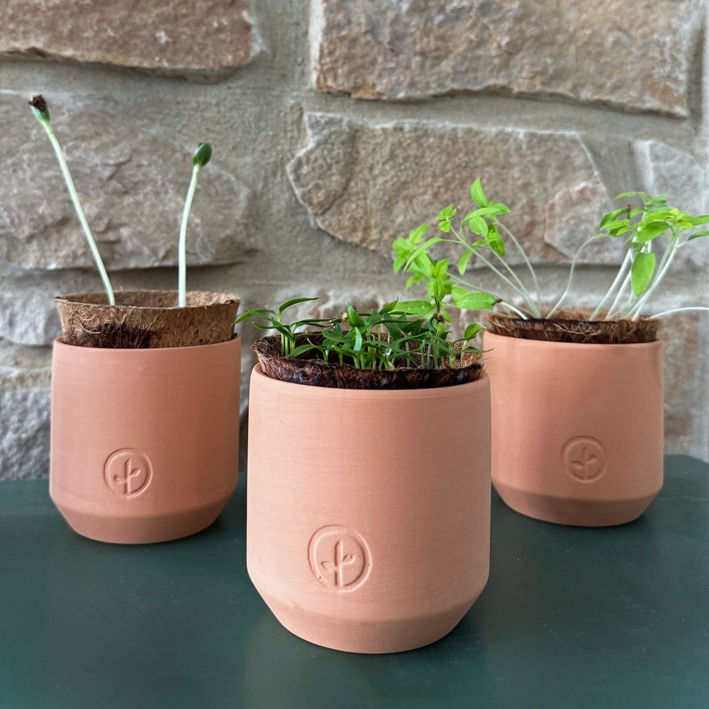 
                      
                        Modern Sprout Tiny Terracotta Garden Kits - lily & onyx
                      
                    