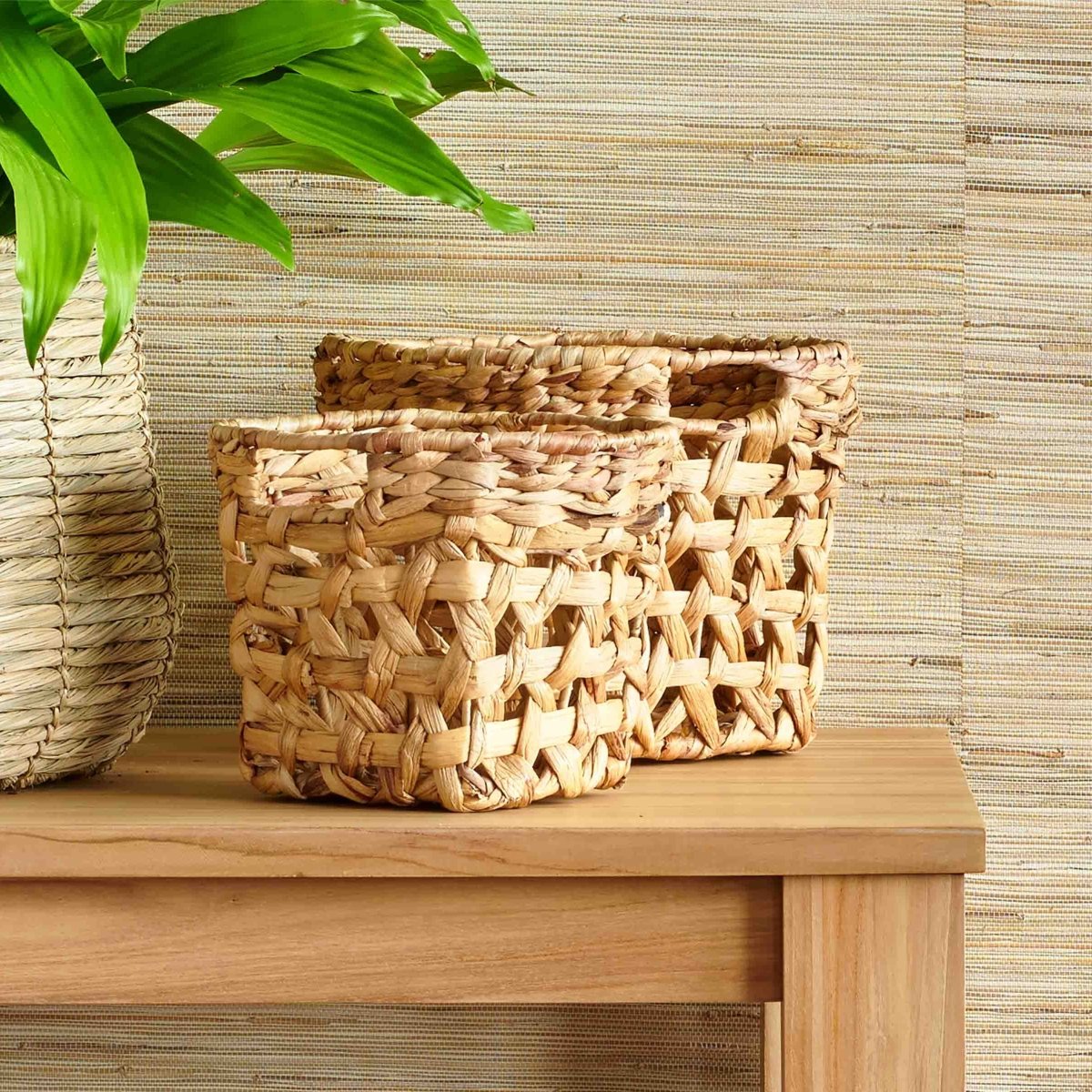 Trania Woven Water Hyacinth Basket, Set of 3 | lily & onyx