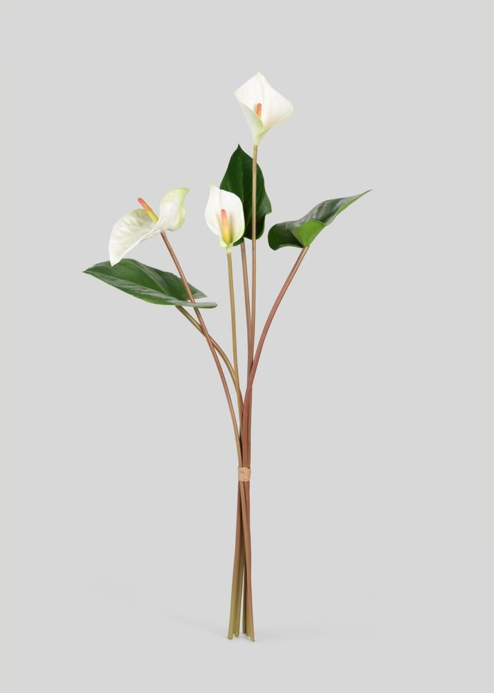 Afloral Tropical Anthurium Fake Flower Bundle in White - 25" - lily & onyx