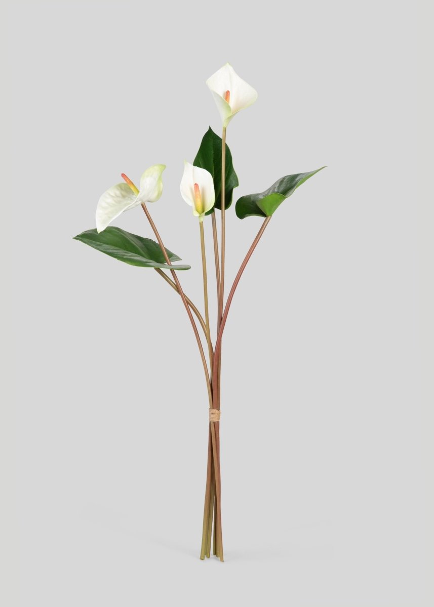Afloral Tropical Anthurium Fake Flower Bundle in White - 25" - lily & onyx