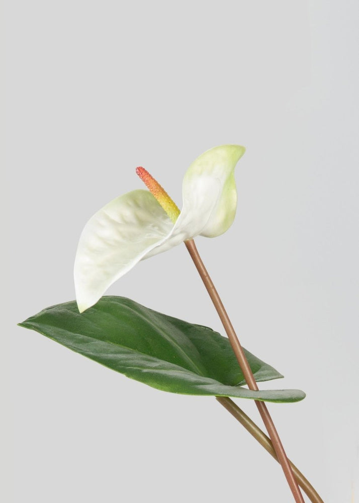 Afloral Tropical Anthurium Fake Flower Bundle in White - 25" - lily & onyx