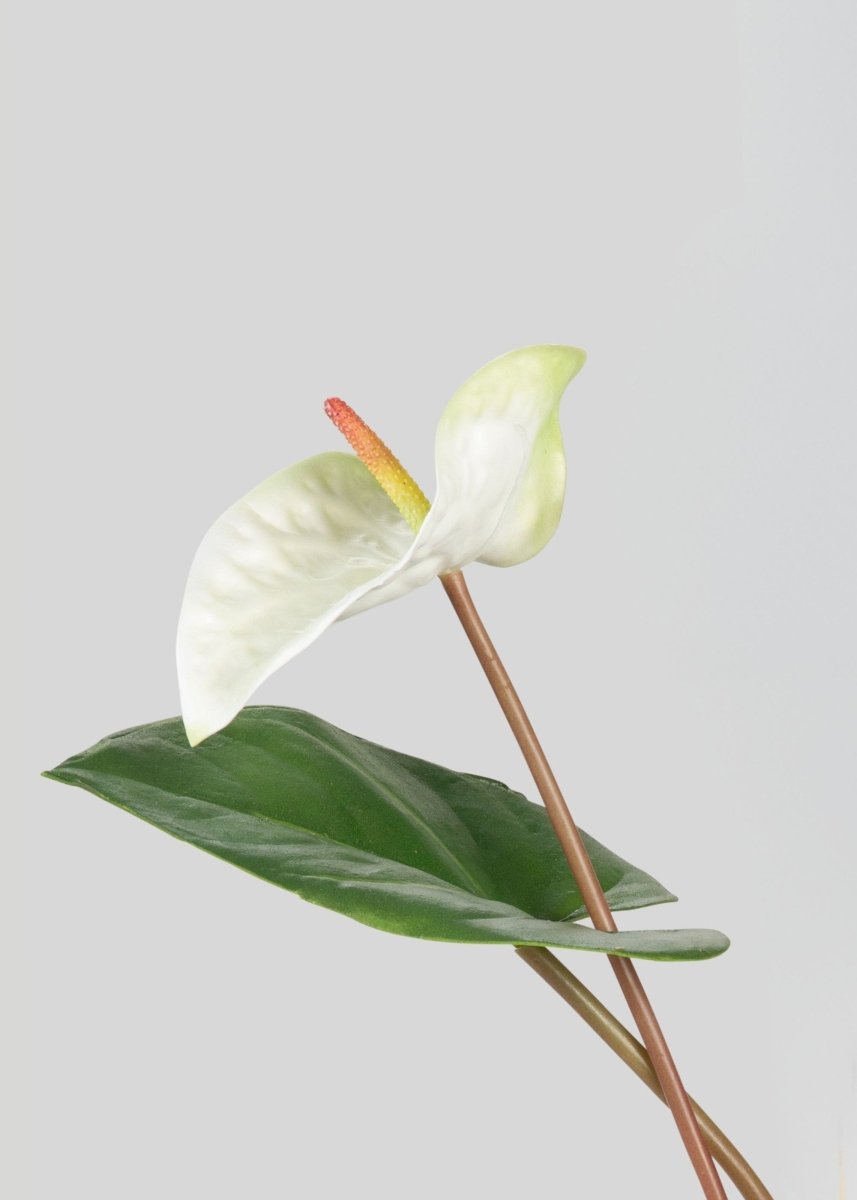 Afloral Tropical Anthurium Fake Flower Bundle in White - 25" - lily & onyx