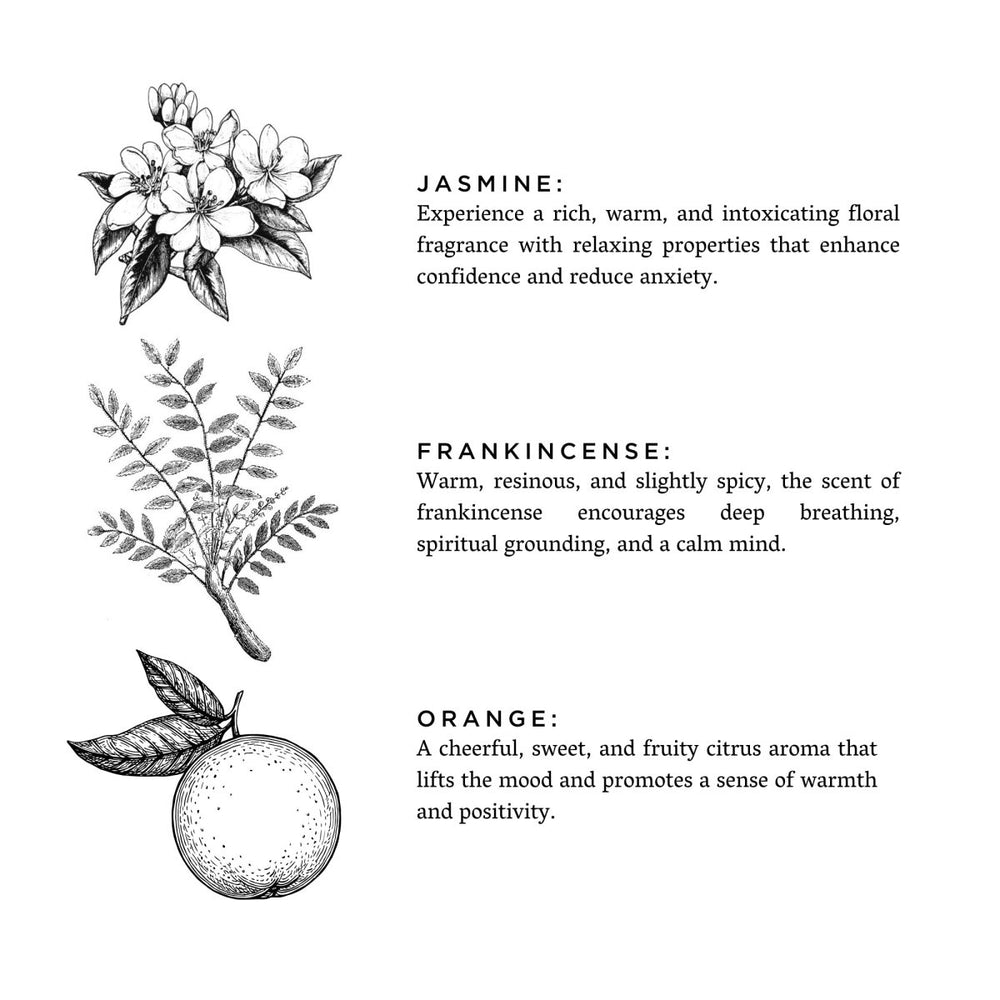 
                      
                        Slow North Tuscan Sun | Orange + Frankincense + Jasmine | Frosted Candle, 8 oz - lily & onyx
                      
                    