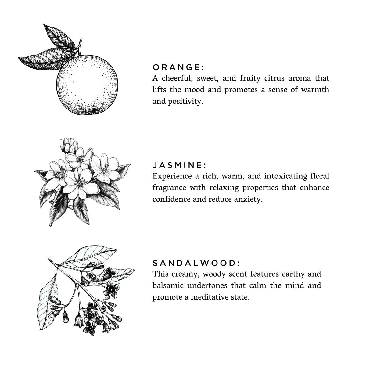 Slow North Twilight | Jasmine + Orange + Sandalwood | Frosted Candle, 8 oz - lily & onyx