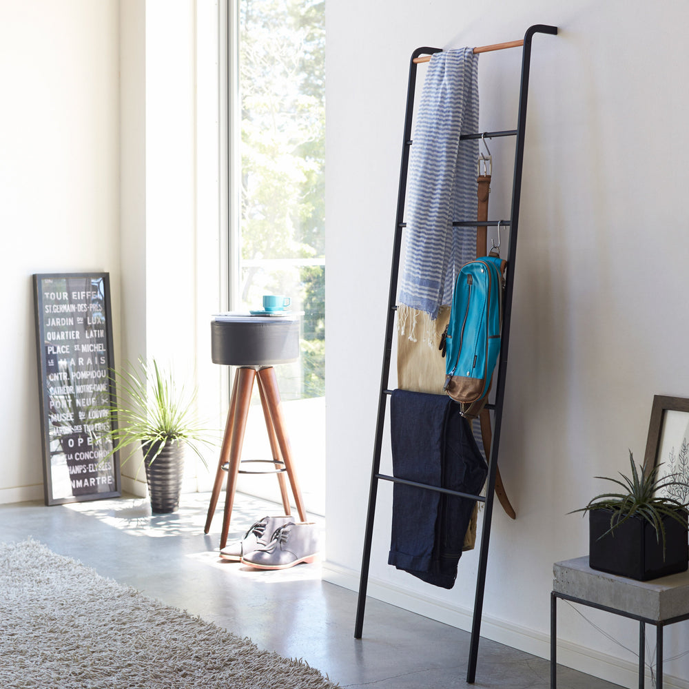 
                      
                        Leaning Steel Storage Ladder
                      
                    