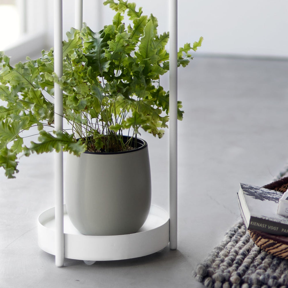 
                      
                        Two-Tier Rolling Plant Stand, 28" H  - Steel
                      
                    