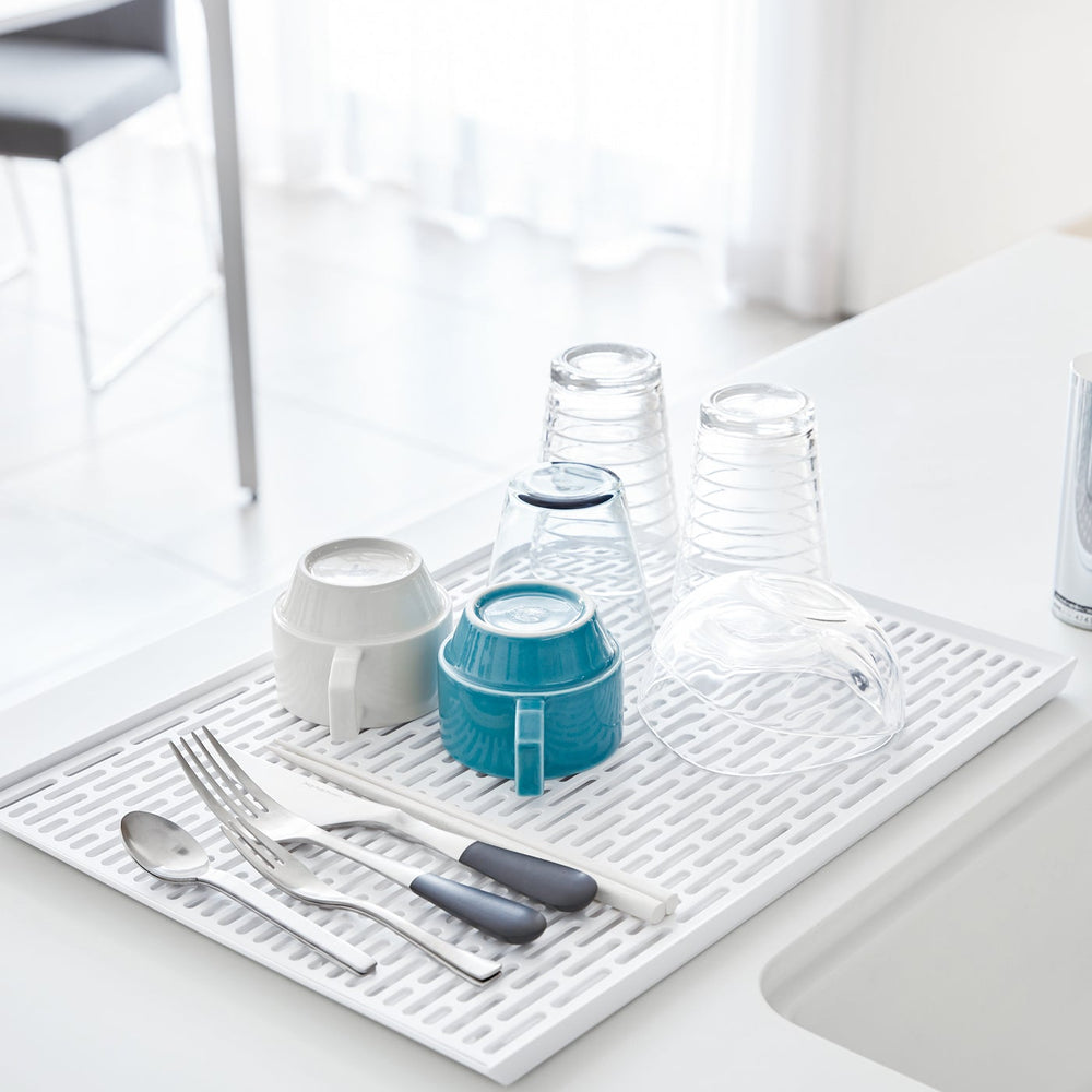 Dish Drainer Tray