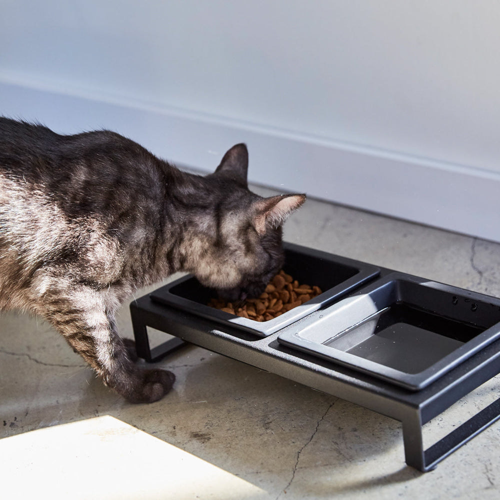 
                      
                        Pet Food Bowl
                      
                    