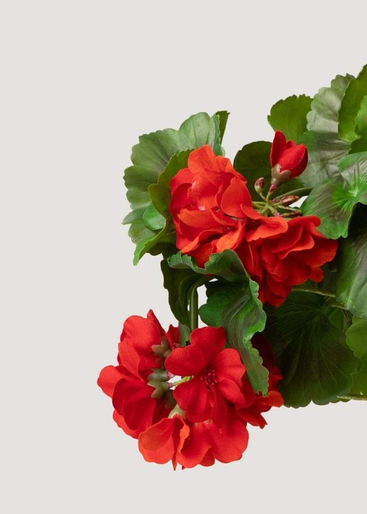 
                      
                        Afloral UV Resistant Indoor/Outdoor Natural Touch Geranium Bush - 17" - lily & onyx
                      
                    