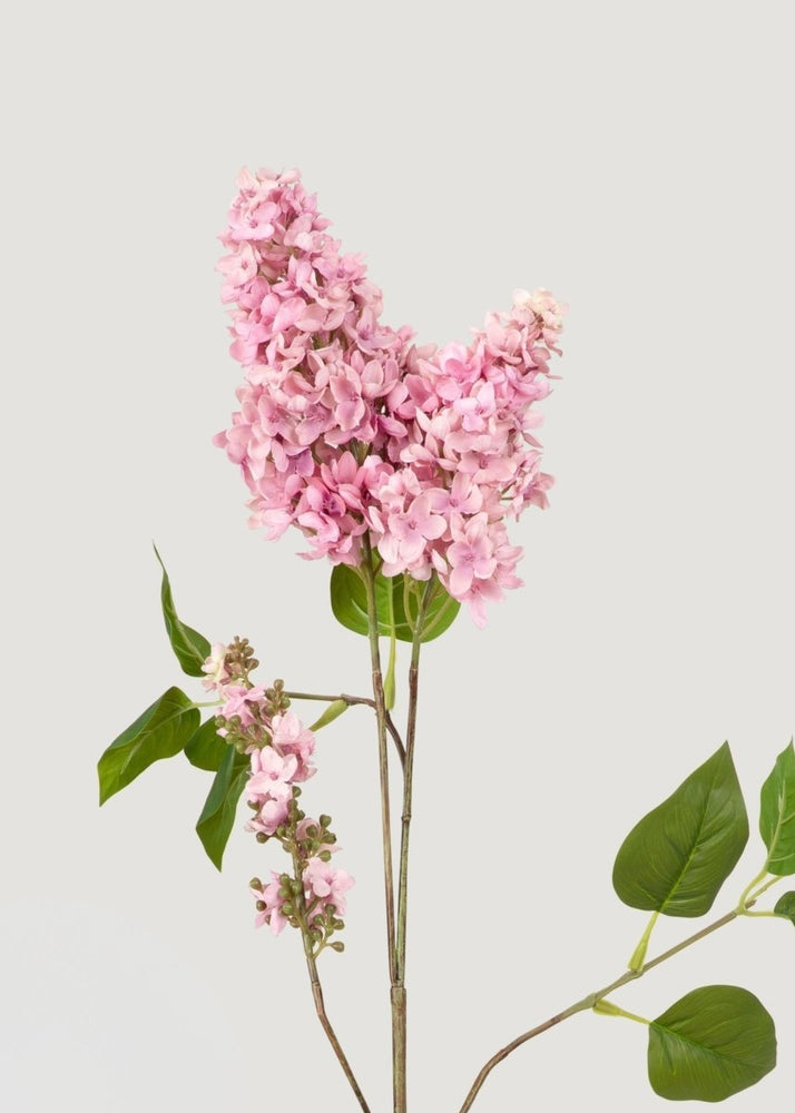 
                      
                        Afloral UV Resistant Outdoor Fake Lilac Branch - 40" - lily & onyx
                      
                    