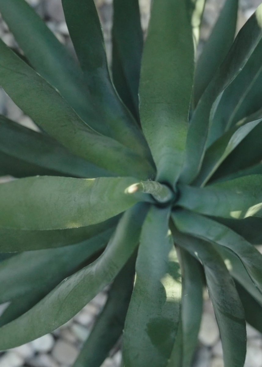 plastic yucca plant UV Resistant Artificial Indoor/Covered Outdoor Yucca Plant