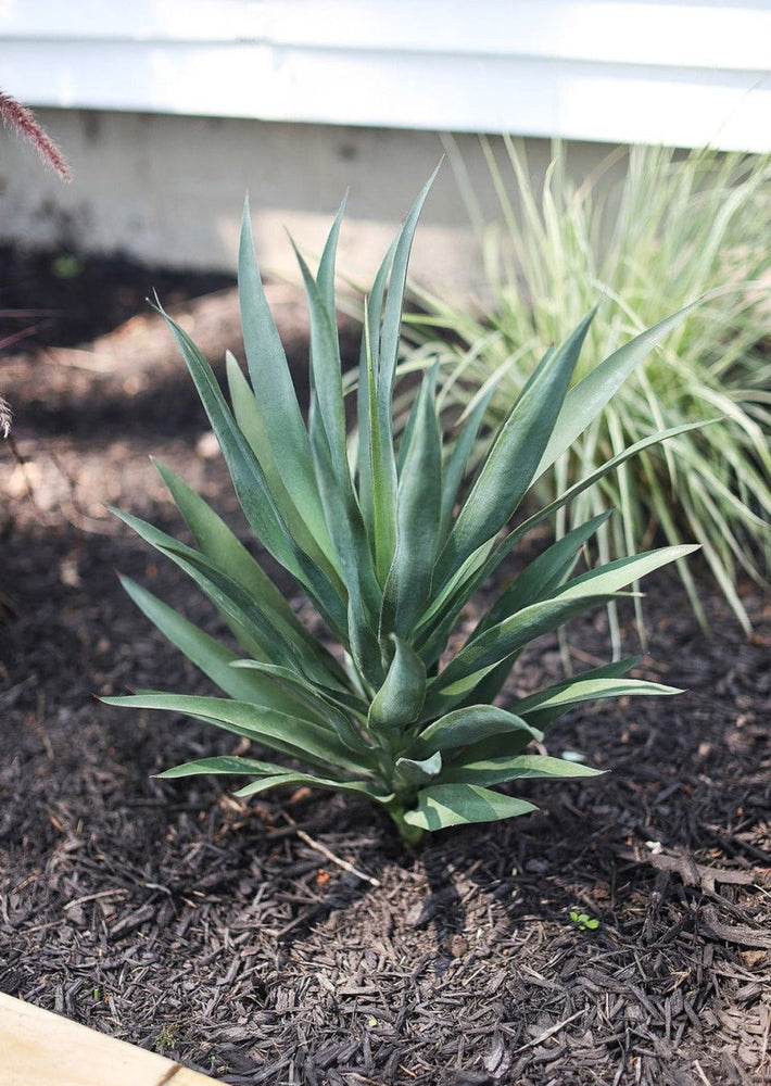 
                      
                        Afloral UV Treated Artificial Indoor/Covered Outdoor Yucca Plant, 27" - lily & onyx
                      
                    