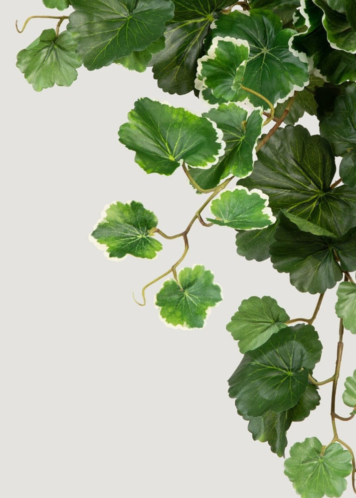 
                      
                        Afloral UV Treated Fake Indoor/Outdoor Hanging Geranium Plant - 21" - lily & onyx
                      
                    