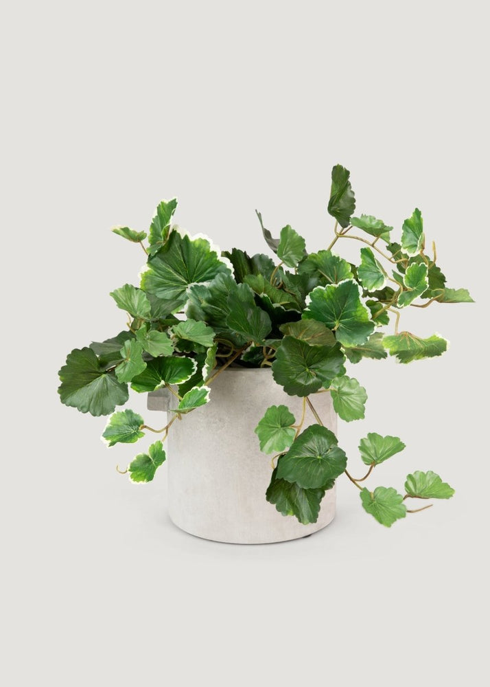
                      
                        Afloral UV Treated Fake Indoor/Outdoor Hanging Geranium Plant - 21" - lily & onyx
                      
                    