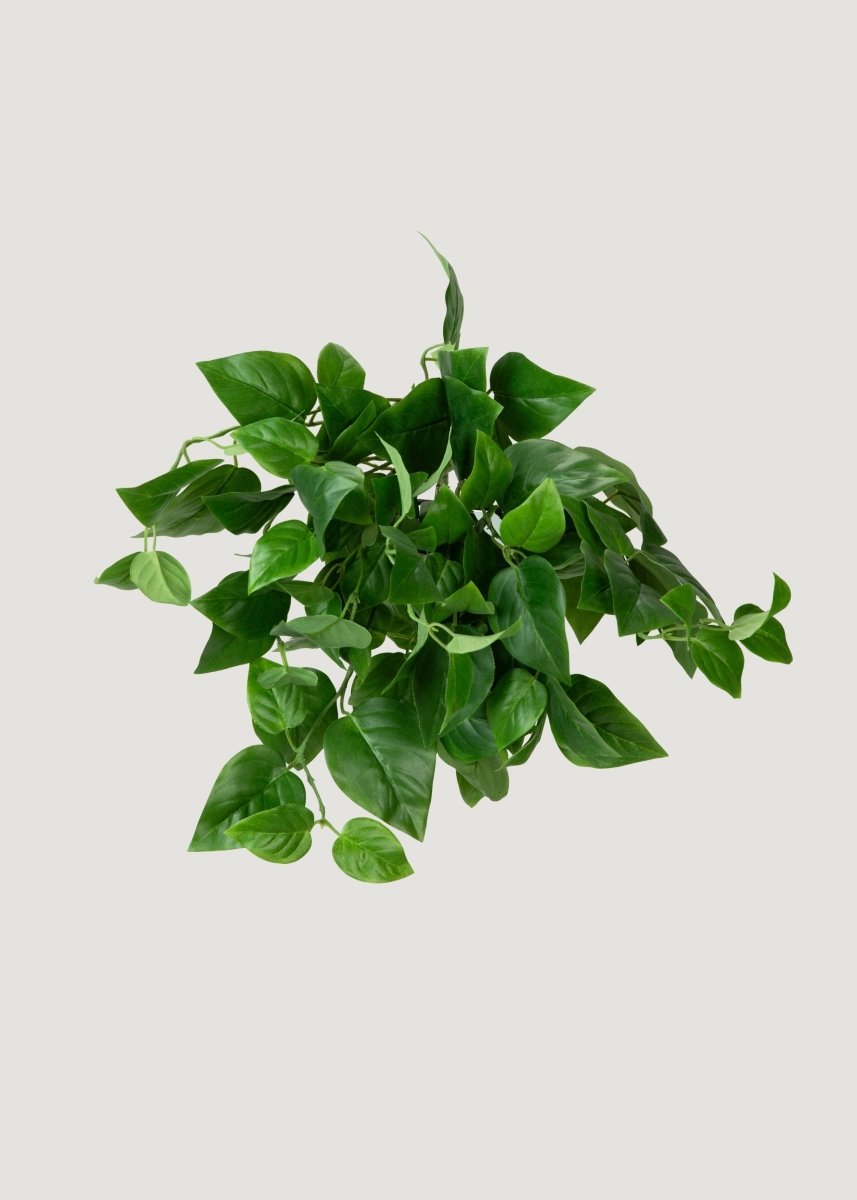 Afloral UV Treated Fake Indoor/Outdoor Hanging Philodendron Plant - 16" - lily & onyx