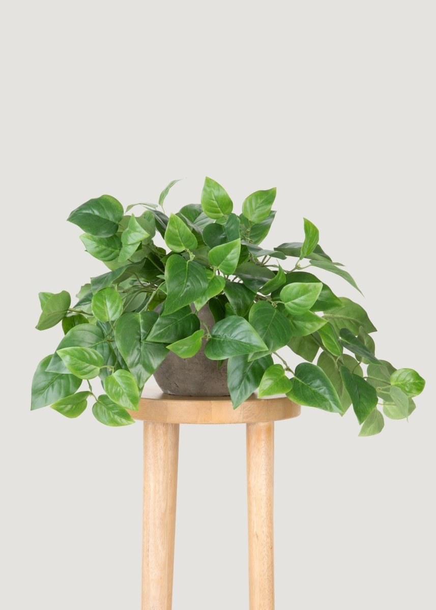 Afloral UV Treated Fake Indoor/Outdoor Hanging Philodendron Plant - 16" - lily & onyx