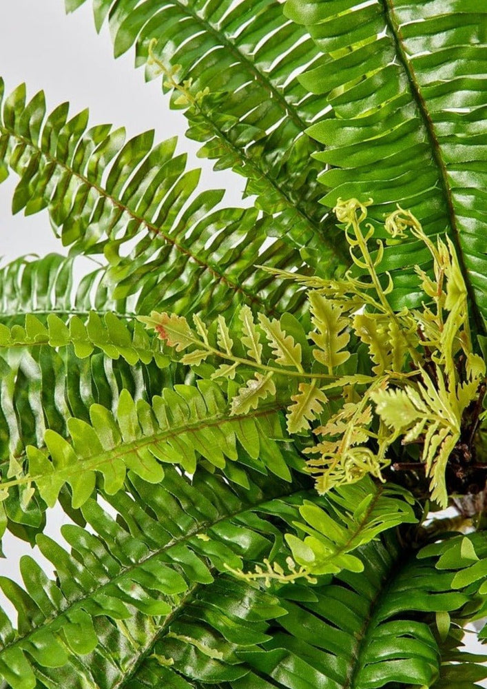 
                      
                        Afloral UV Treated Indoor/Covered Outdoor Faux Hanging Boston Fern Plant, 23" - lily & onyx
                      
                    