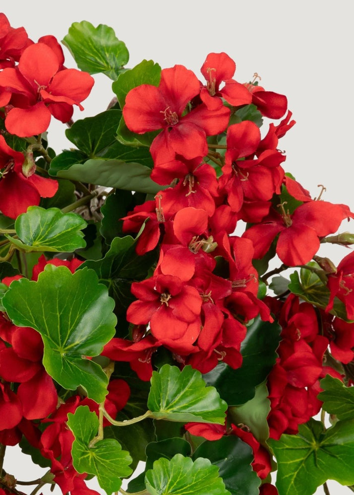 
                      
                        Afloral UV Treated Indoor/Outdoor Fake Geranium Hanging Bush - 24" - lily & onyx
                      
                    