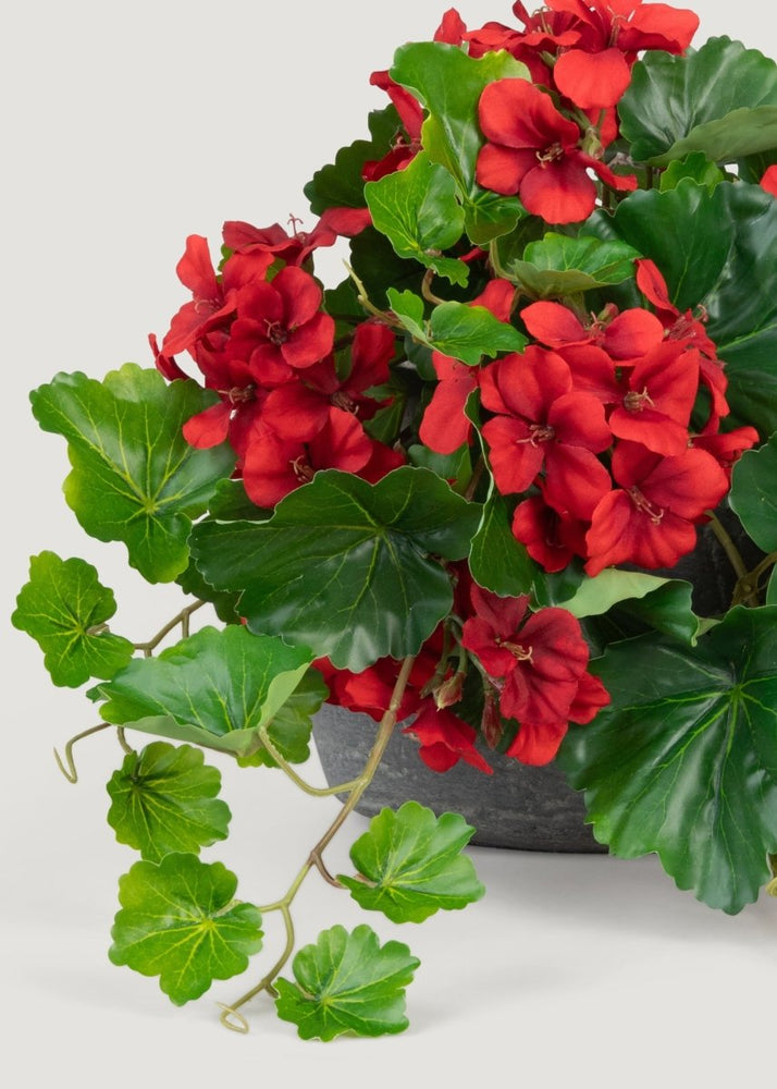 
                      
                        Afloral UV Treated Indoor/Outdoor Fake Geranium Hanging Bush - 24" - lily & onyx
                      
                    