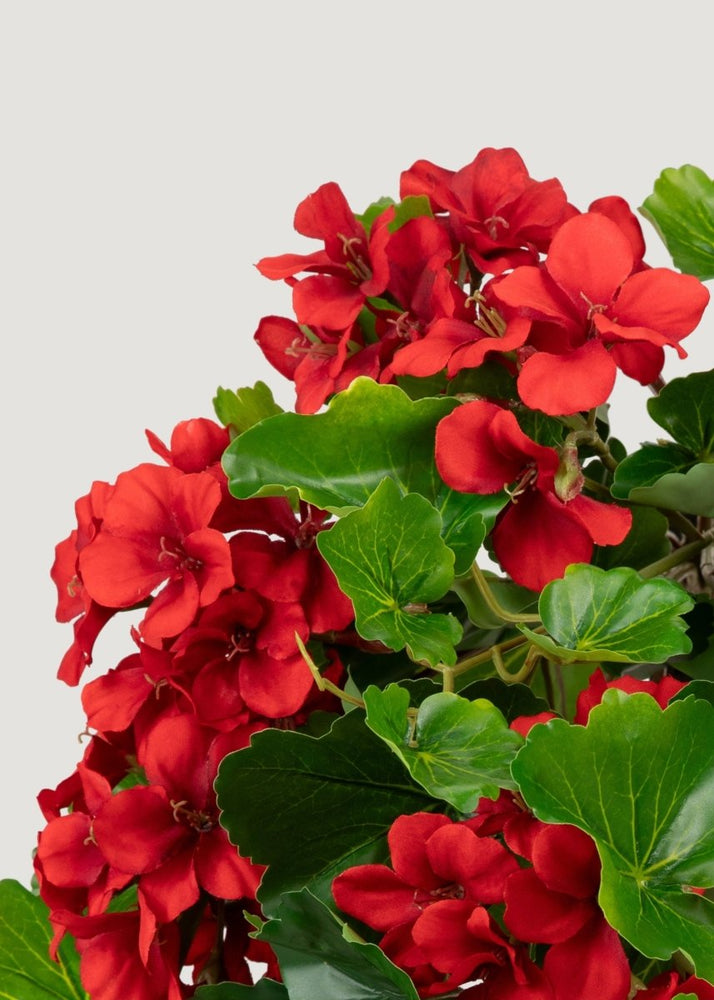 
                      
                        Afloral UV Treated Indoor/Outdoor Fake Geranium Hanging Bush - 24" - lily & onyx
                      
                    