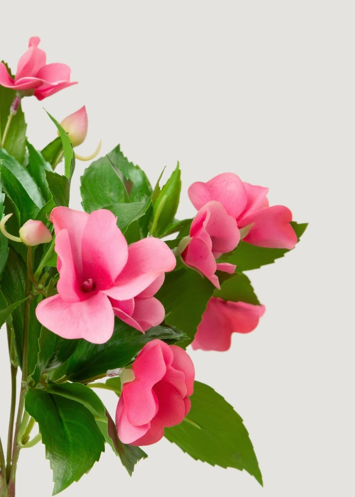 
                      
                        Afloral UV Treated Indoor/Outdoor Natural Touch Impatiens Bush - 10" - lily & onyx
                      
                    