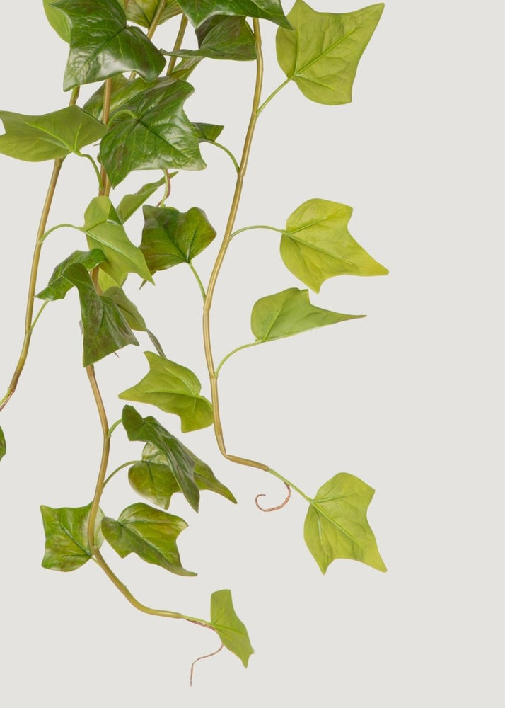 
                      
                        Afloral UV Treated Outdoor Plant Hanging Natural Touch Ivy - 42" - lily & onyx
                      
                    