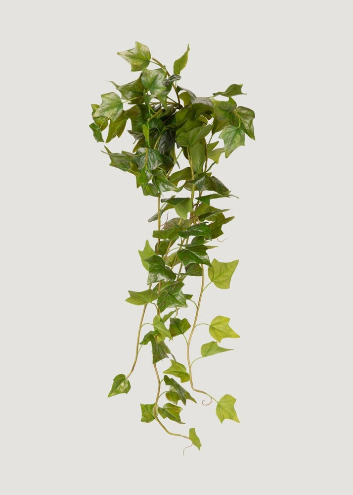 
                      
                        Afloral UV Treated Outdoor Plant Hanging Natural Touch Ivy - 42" - lily & onyx
                      
                    