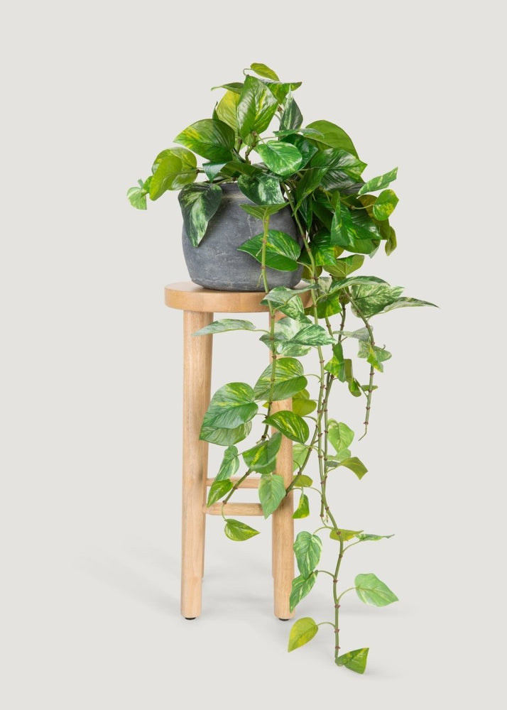 Afloral UV Treated Pothos Indoor/Outdoor Natural Touch Hanging Plant - 42" - lily & onyx