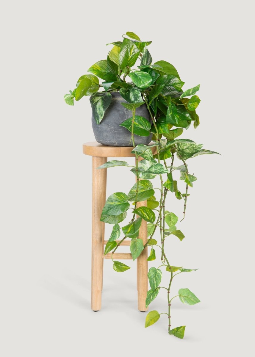 Afloral UV Treated Pothos Indoor/Outdoor Natural Touch Hanging Plant - 42" - lily & onyx