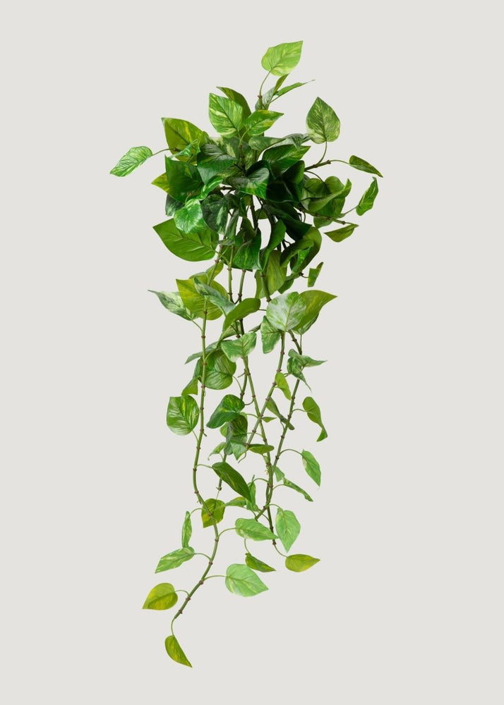 Afloral UV Treated Pothos Indoor/Outdoor Natural Touch Hanging Plant - 42" - lily & onyx