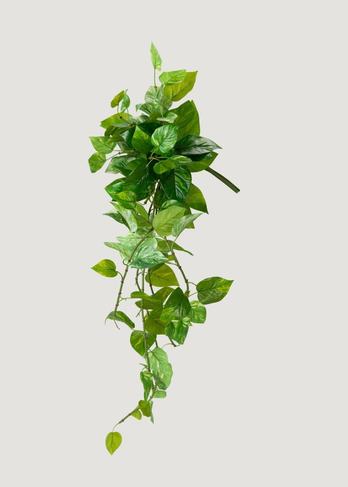 
                      
                        Afloral UV Treated Pothos Indoor/Outdoor Natural Touch Hanging Plant - 42" - lily & onyx
                      
                    