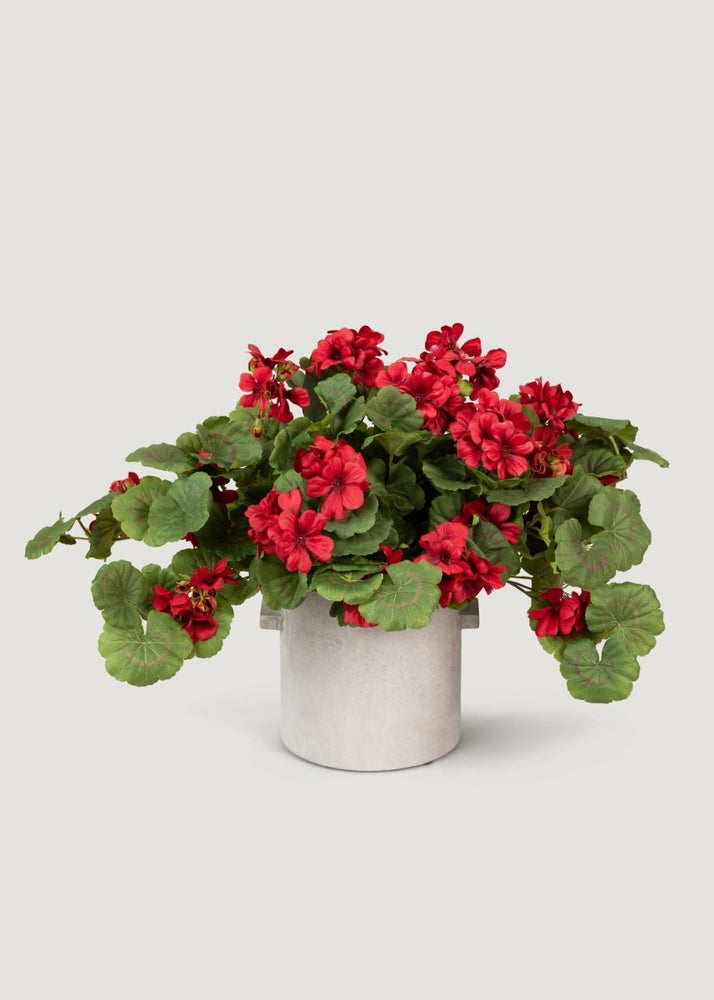 
                      
                        Afloral UV Treated Red Geranium Hanging Bush Outdoor Fake Plant - 27" - lily & onyx
                      
                    