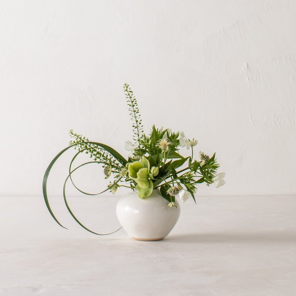 CONVIVIAL Verdure Vase No. 1 | Stoneware - lily & onyx