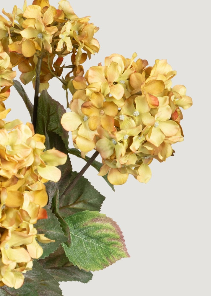 
                      
                        Afloral Vintage Antique Green Fake Hydrangea Bush - 20" - lily & onyx
                      
                    