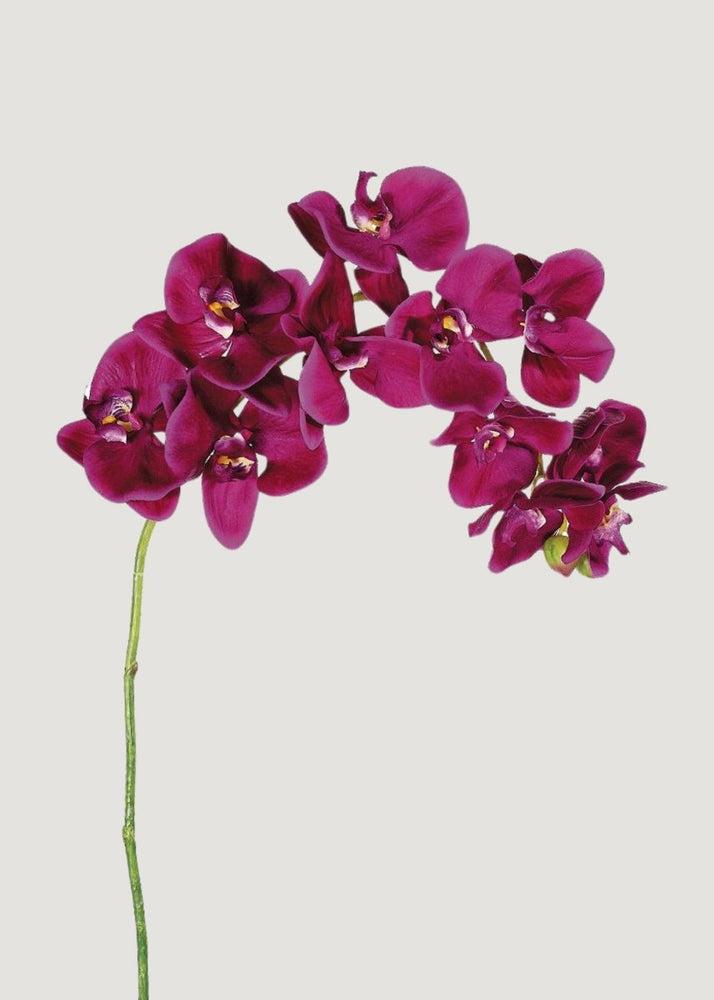 Afloral Violet Fuchsia Faux Phalaenopsis Orchid - 37" - lily & onyx