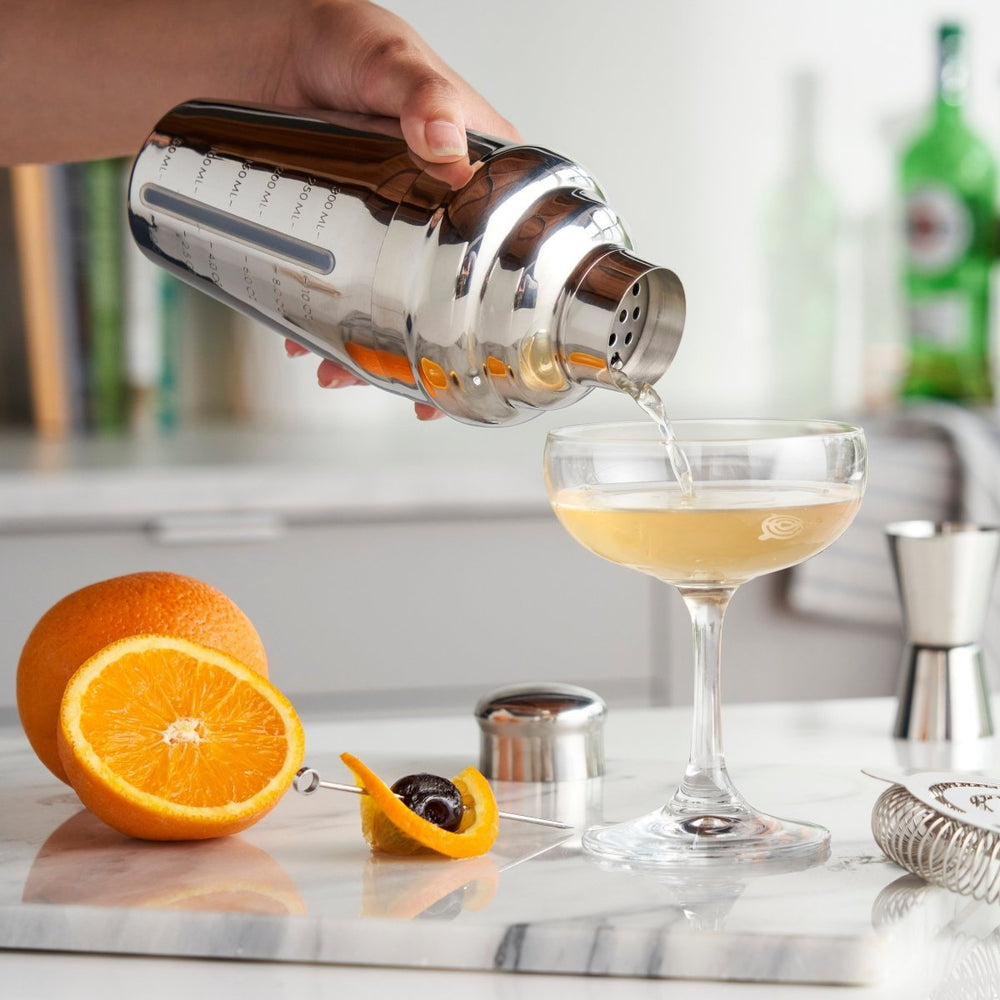 
                      
                        True Vista Measured Stainless Steel Cocktail Shaker - lily & onyx
                      
                    