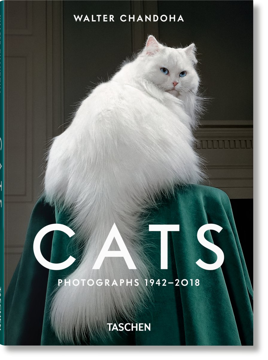 TASCHEN Walter Chandoha. Cats. Photographs 1942–2018 (English) - lily & onyx