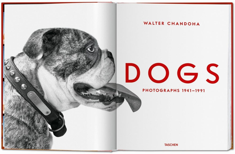 TASCHEN Walter Chandoha. Dogs. Photographs 1941–1991 (German, French, English) - lily & onyx