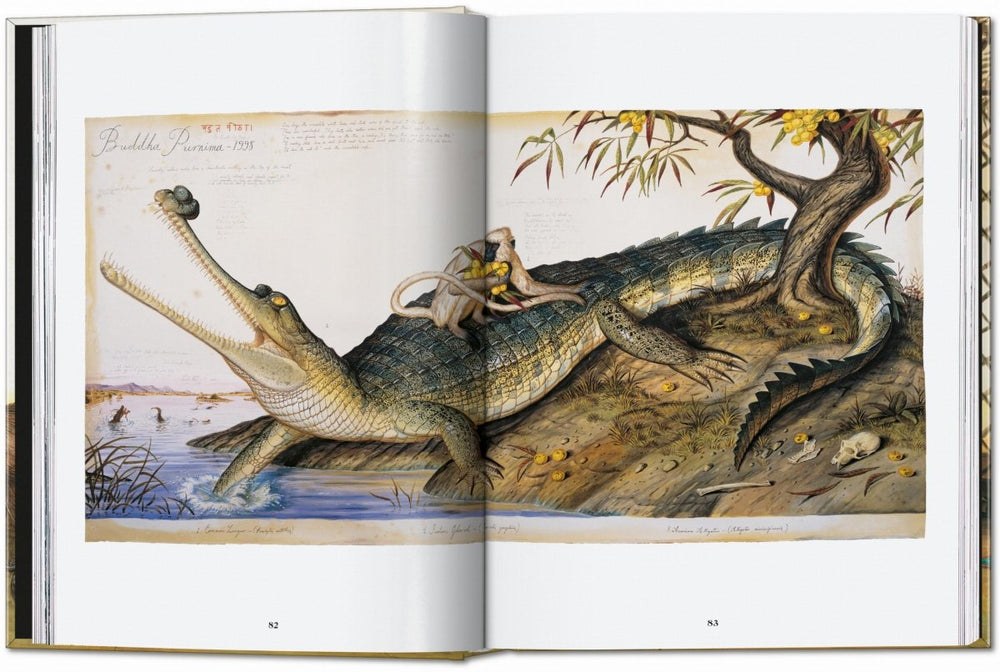 
                      
                        TASCHEN Walton Ford. 40th Ed. (German, French, English) - lily & onyx
                      
                    