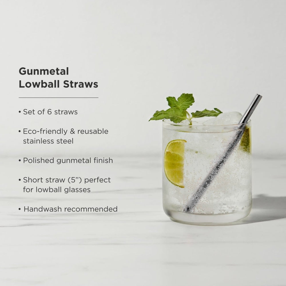 
                      
                        Viski Warren Lowball Straws, Set of 6 - lily & onyx
                      
                    